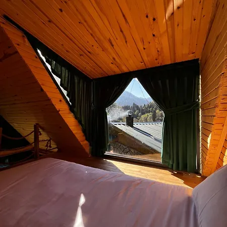 Ayder Elizan Chalet Camlihemsin