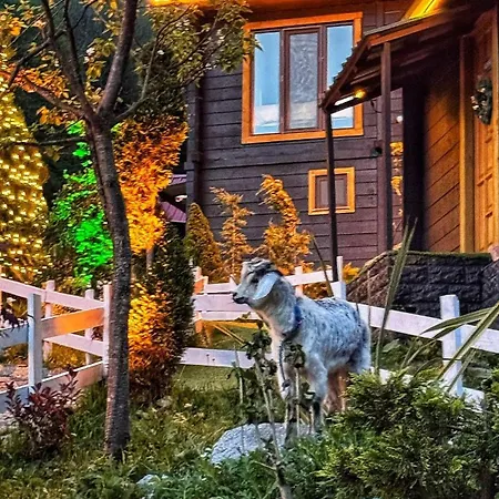 Chalet Ayder Elizan Camlihemsin