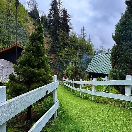 Chalet Ayder Elizan Camlihemsin