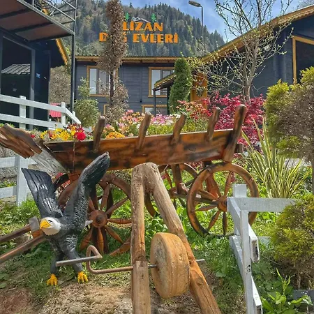 Ayder Elizan Chalet